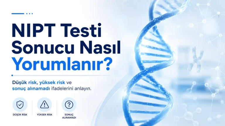 NIPT Testi Sonucu Nasıl Yorumlanır? Gebelik Rehberi